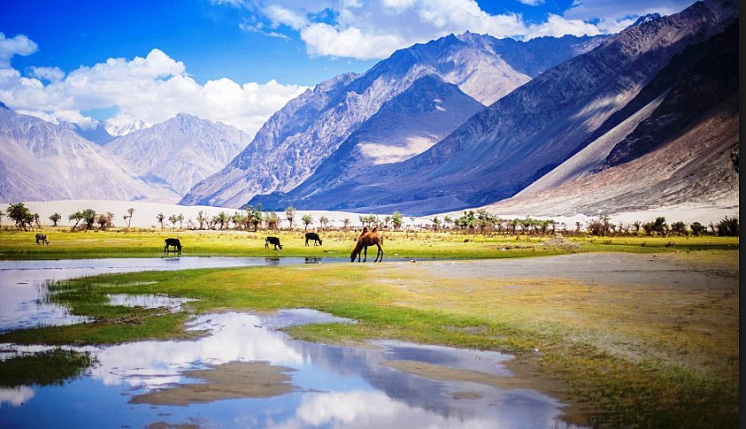 Nubra Valley